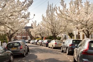 Photo 17- click for photo gallery